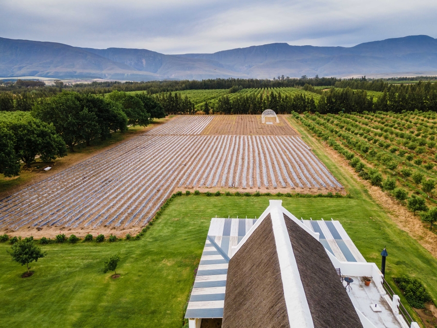 20 Bedroom Property for Sale in Swellendam Western Cape